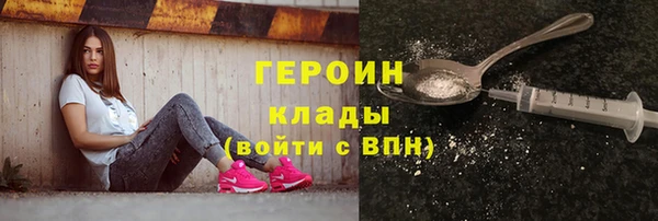 молекула духа Богданович