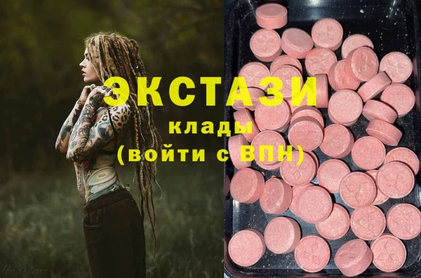 молекула духа Богданович