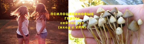ГАЛЛЮЦИНОГЕННЫЕ ГРИБЫ Богородицк