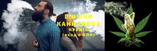 сатива Богородск