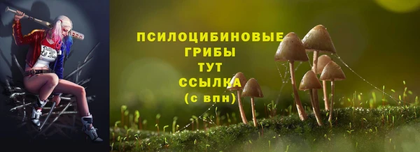 ГАЛЛЮЦИНОГЕННЫЕ ГРИБЫ Богородицк