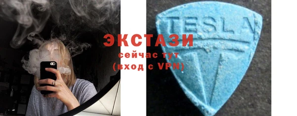молекула духа Богданович