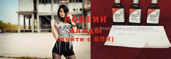 молекула духа Богданович