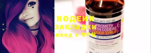 молекула духа Богданович