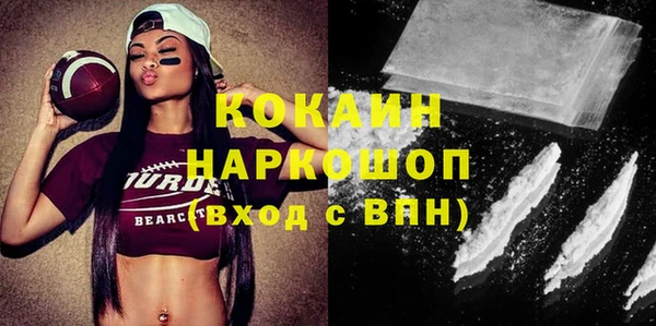 молекула духа Богданович