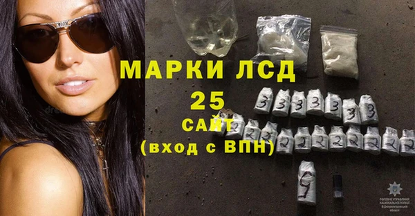 молекула духа Богданович