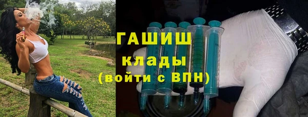 молекула духа Богданович