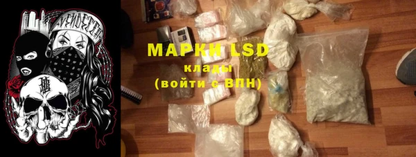молекула духа Богданович