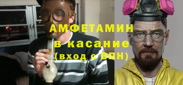 молекула духа Богданович